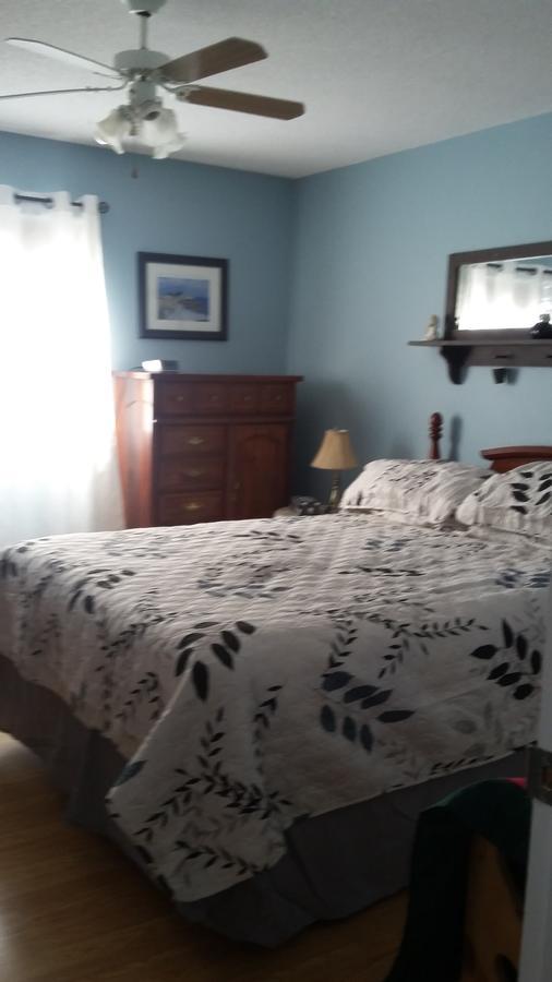 Aggie'S B&B Bonavista Zimmer foto